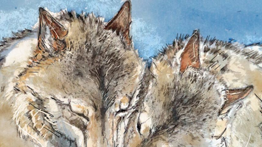 Die Aquarellbilder hat der Autor gemalt. Foto. Peter A. Dettling