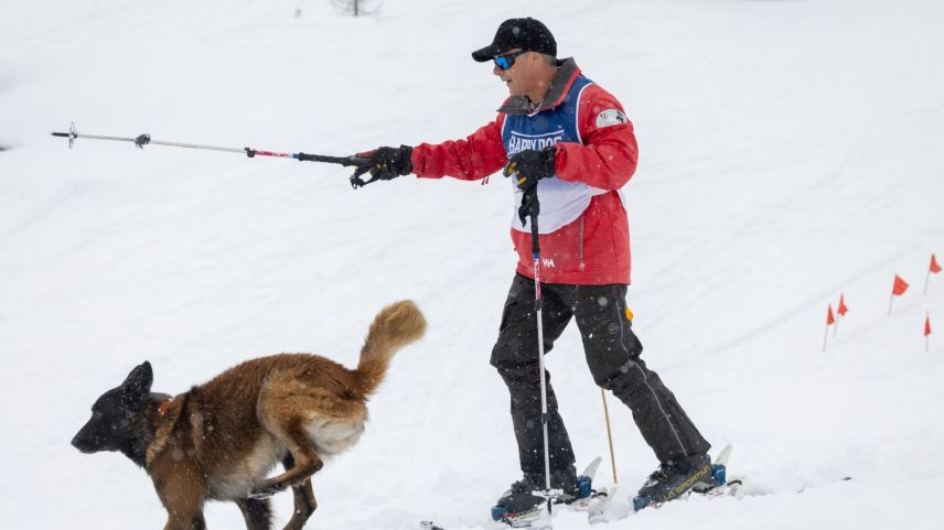 Impressionen von der Lawinenhunde Schweizermeisterschaft. Foto: Andrea Furger 