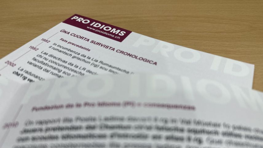 La Pro Idioms ha preschantà ün flyer cun üna cuorta survista cronologica da las activiats da la Pro Idioms (fotografia: Nicolo Bass).