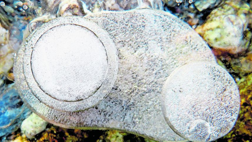 Wasser, Wind und Kälte formen diese kleinen Kunstwerke aus Eis. 	Fotos: Katharina von Salis