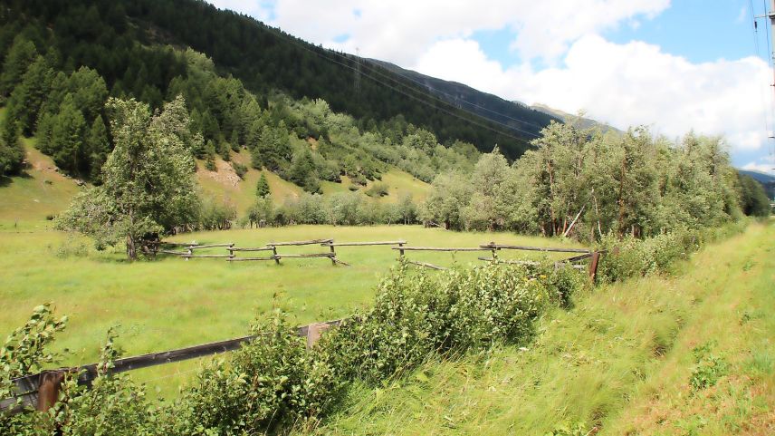 Las Agnas vain darcho renatüriso. fotografia: Alfons Clalüna