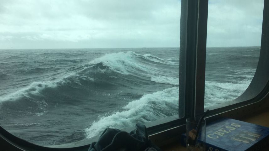 Ohne Smartphonesignal auf dem Atlantik: Zeit für Muse und Spiele. Fotos: Carla Sabato