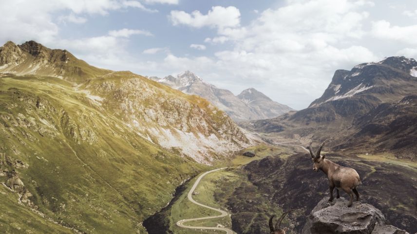 Foto: Graubünden Ferien