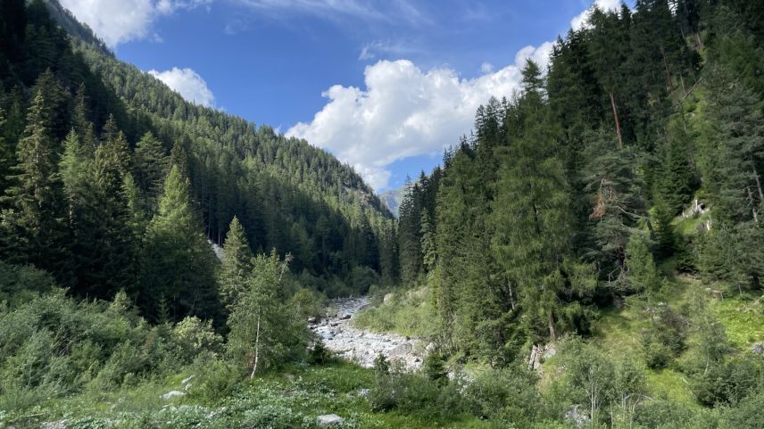 Die Branclaschlucht ist wild und unverbaut. Foto: Fadrina Hofmann