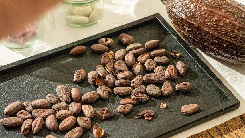 Getrocknete Kakaobohnen mit Kakaofrucht. Foto: Jon Duschletta