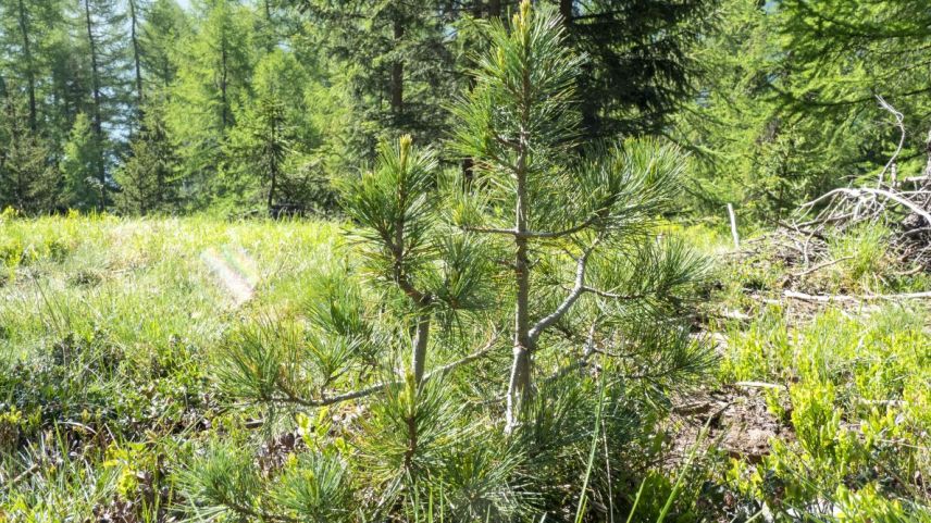 Archivfoto: Denise Kley