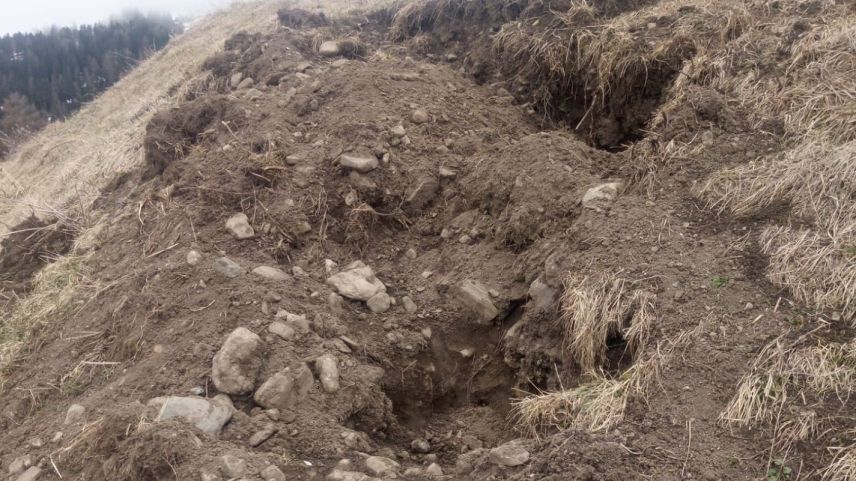 Süls prats dadour Tschlin in direcziun da Vnà ha ün püerch sulvadi chaschunà divers dons cun tscherchar nudritüra (fotografia: Gian Denoth).