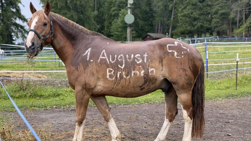 Impressionen vom 1. August-Brunch in San Jon. Foto: Fadrina Hofmann