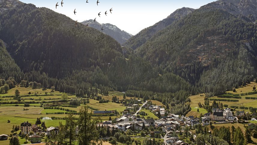 Il cumün futur da Sta. Maria, schi’s reagischa in möd proactiv al müdamaint dal clima (fotografia: mad/ikonaut).