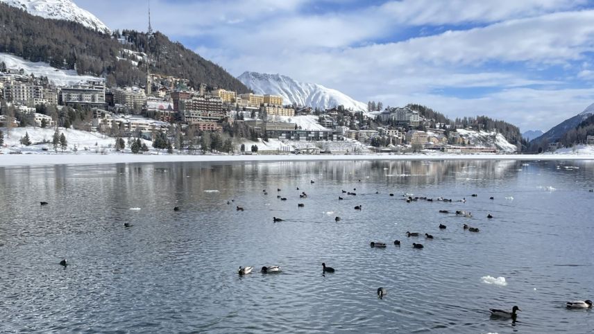 Kein Hai in Sicht. Foto: Fadrina Hofmann