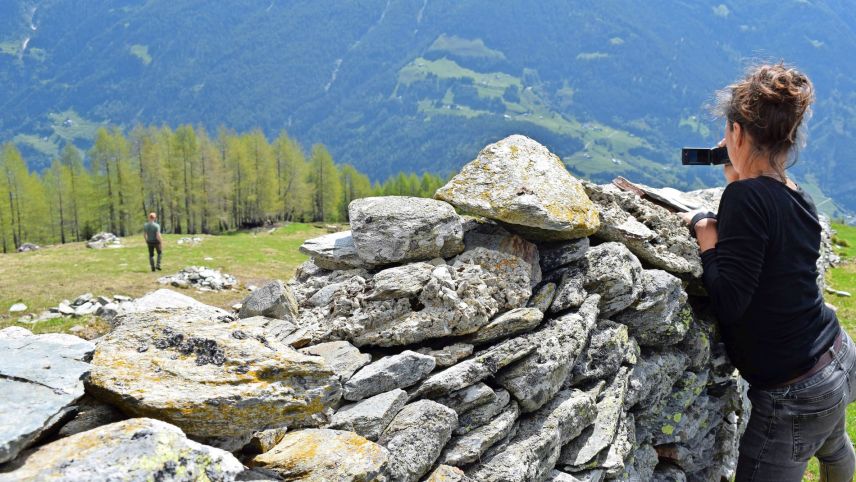 Aus der Ferne wurden sie und vier weitere Hunde von der Prüfungsleitung beobachtet.