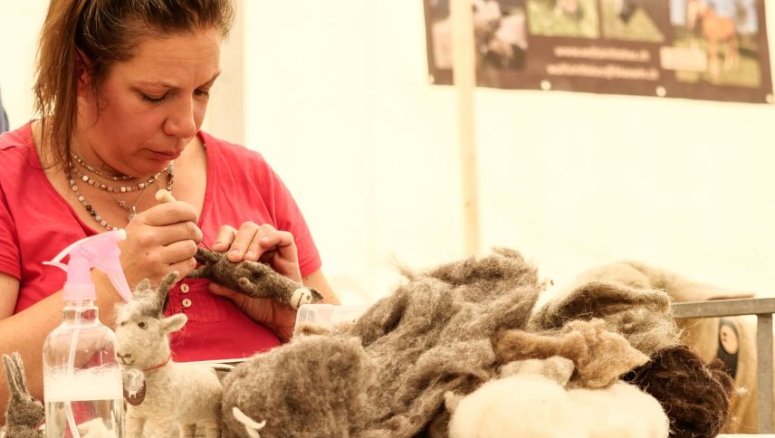 Impressionen der Agrischa 2026 in Zernez. Foto: Jon Duschletta