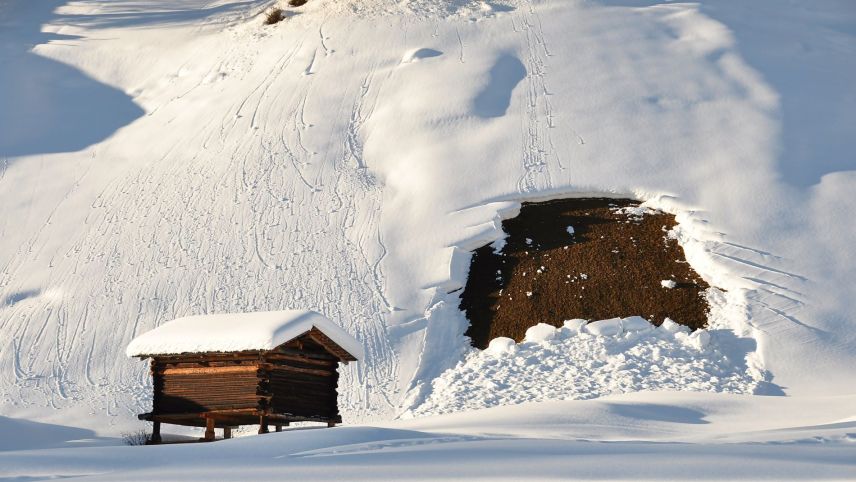 Bei einer Gleitschneelawine rutscht die gesamte Schneedecke. Foto: Stefan Margreth / SLF