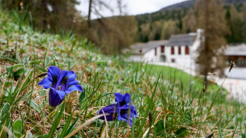 Foto: Jon Duschletta