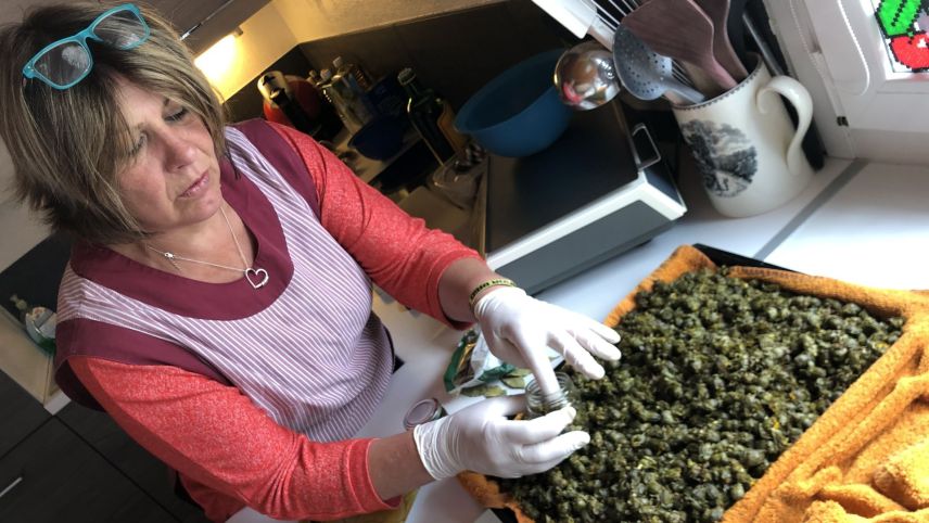 Durietta Buzzetti-Salis beim Abfüllen ihrer Löwenzahnknospen in die Einmachgläser. Foto: Marie-Claire Jur