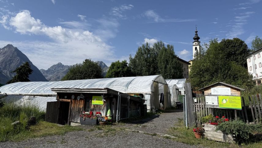 La chasina da lain es statta ün dals prüms elemaints da la giardinaria. fotografia: Fadrina Hofmann