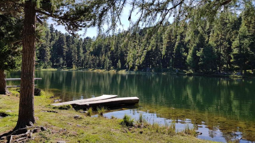 Il Lej Nair es main cuntschaint e main frequento. Zieva passa 15 minuts dal Lej Marsch oura as riva tar quist lej da palüd cun 20 gros (fotografia: Martin Camichel).