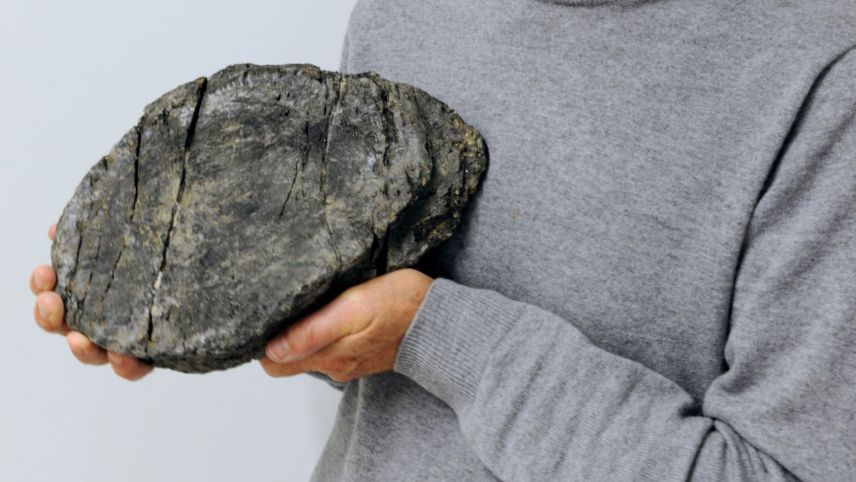 Ein Ichthyosaurier-Knochen vom Fil da Stidier bei Filisur. Foto: zVg 