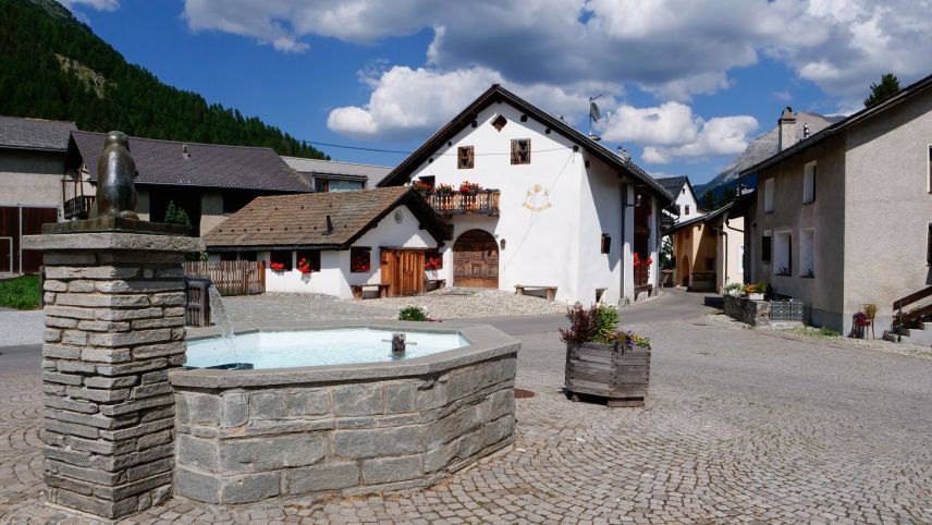 Bever. Foto: Jon Duschletta