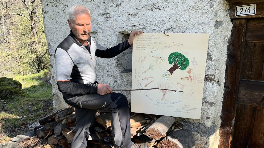 Marcello Negrini kennt sich nicht nur mit Kastanien aus. Auch die ­heimische Vogelwelt und die Biodiversität liegen ihm am Herzen.