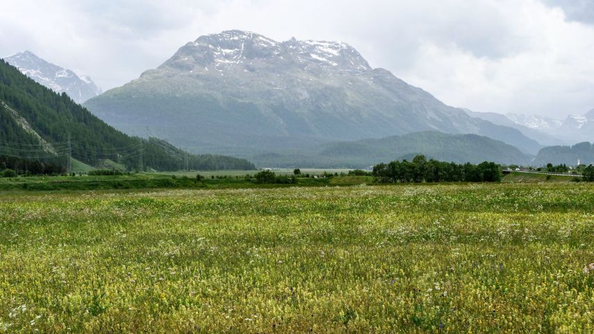 Hier stand einst die ARA Sax. Davon ist heute nichts mehr zu sehen Foto: Jon Duschletta