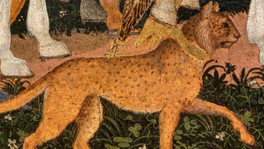 Das Cover zeigt einen Geparden. Foto: Suhrkamp Verlag