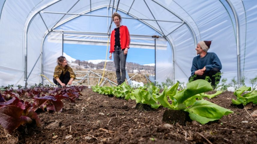 Die drei Klimabauern vom Bio-Hof Bain Chavalatsch in Scuol: v.l. Aita Puorger, Marion Schild und Samuel Hauenstein. Fotos: Jon Duschletta