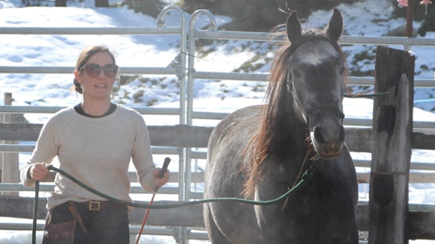 Meine Freizeit verbringe ich oft mit meinem Jungpferd in der Natur und beim gemeinsamen Lernen auf dem Reitplatz. Foto: Madeleine Papst