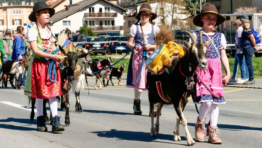 Impressionen der Agrischa 2026 in Zernez. Foto: Jon Duschletta