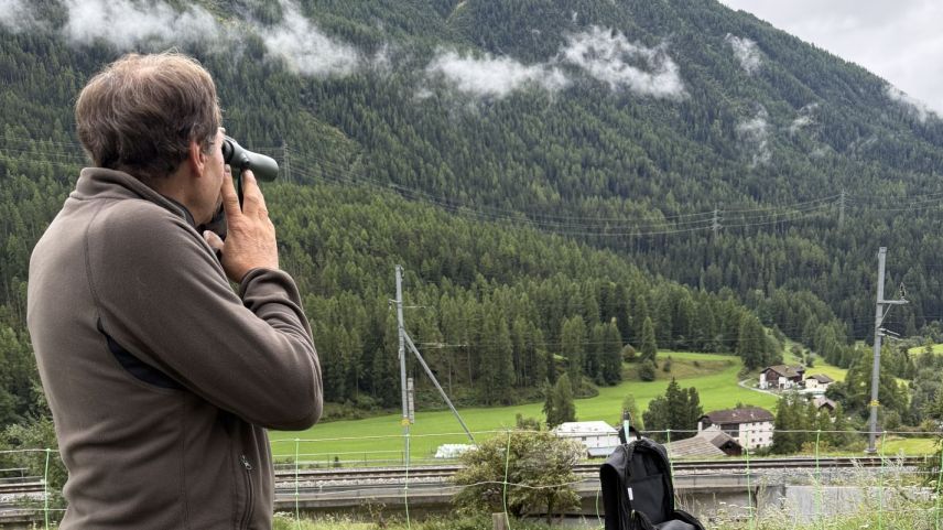 Der Späher. Foto: Fadrina Hofmann