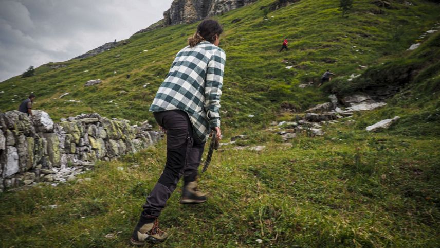 Die Hirtin lägt täglich mehrere Kilometer und Höhenmeter zurück. Neben gefährlichen Zäunungsarbeiten am Hang und widerspenstigen Schafen hat die junge Frau auch mit einem anderen Vierbeiner zu kämpfen: Dem Wolf. Er hat bereits ein Tier gerissen. 