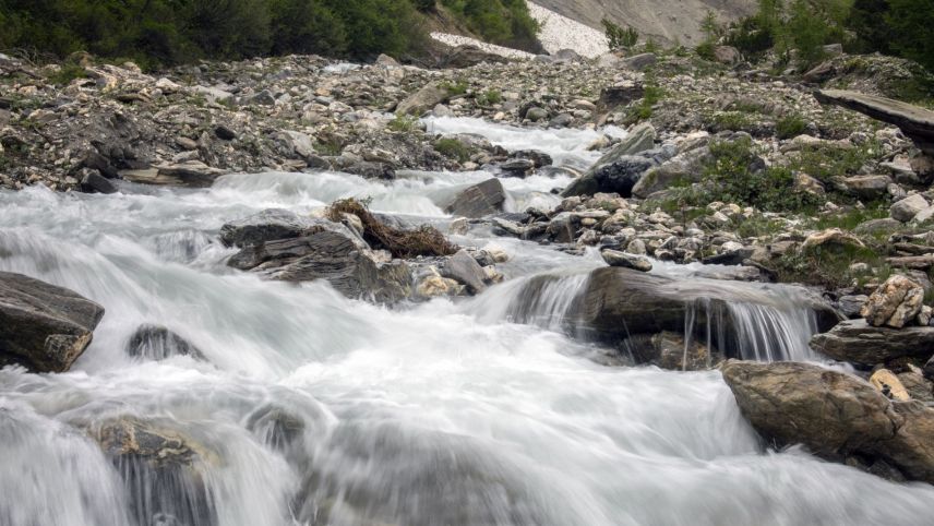 Natur pur. Foto: Fadrina Hofmann