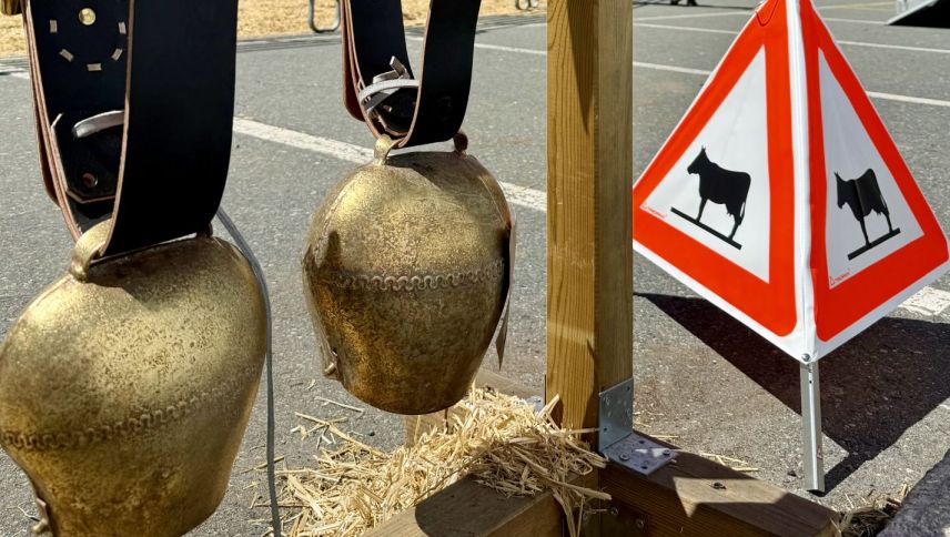 Impressionen von der Agrischa 2026. Foto: Fadrina Hofmann