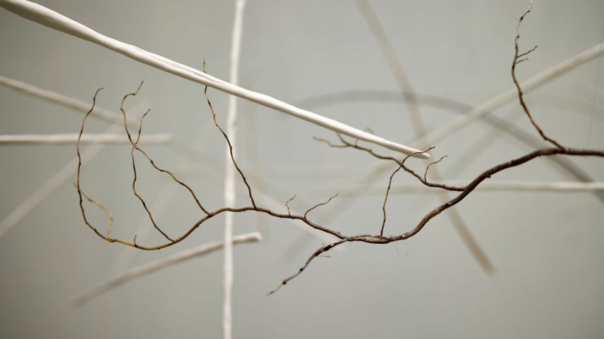 L’ouvra da Madlaina Lys exposta illa «Chasina Naira». «Eu vaiva l’impuls da far alch chi nun es calm», disch l’artista (fotografia: Michael Steiner).