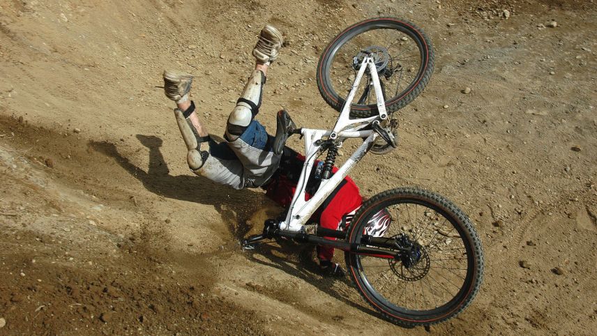 Foto: shutterstock.com/Brian Finestone