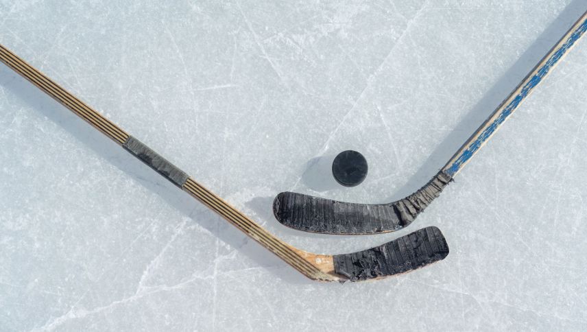 Foto: shutterstock.com/Igor Link