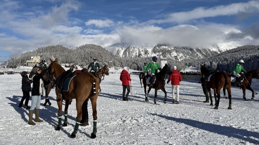Bereit für den Ponywechsel. Foto: Fadrina Hofmann