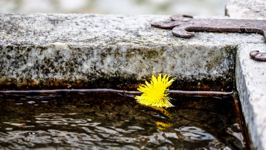 I vain appellà da spargnar aua da baiver illa fracziun da Müstair. fotografia da simbol: Jon Duschletta