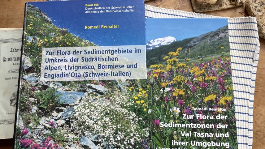 Die Bücher von Romedi Reinalter geltem als Standardwerke. Foto: Fadrina Hofmann