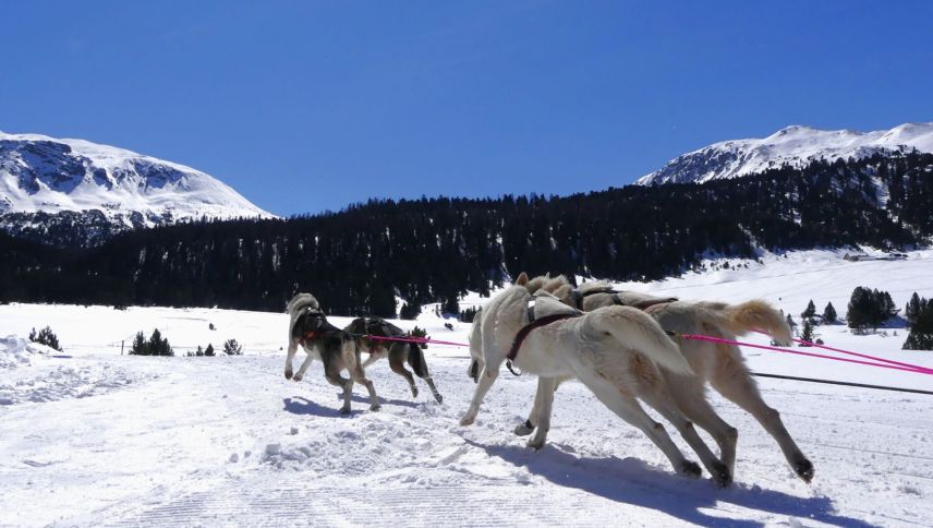 Sportists tras e tras – dürant il cuorrer sun ils chans focussats ed in lur tunnel (fotografia: Dario Müller).