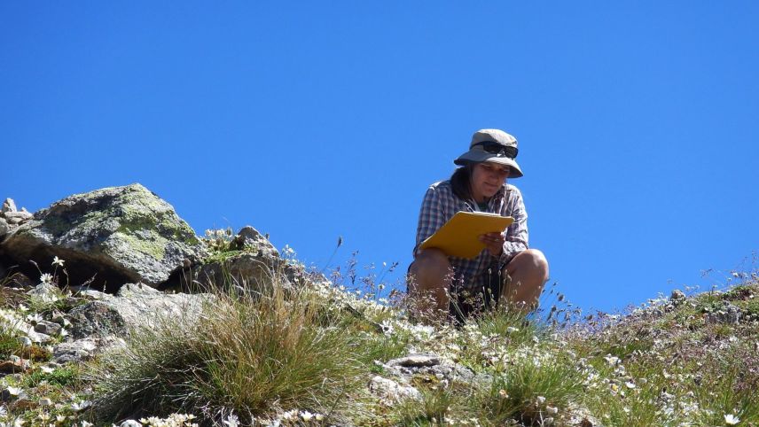 Sonja Wipf erforscht die Wirkungen der Klimaerwärmung auf die Pflanzen in Schweizerischen Nationalpark. Foto. zVg