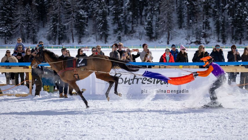 In Aktion: Valeria Walther mit Almacado Gree. Foto: Jean-Marie Delnon