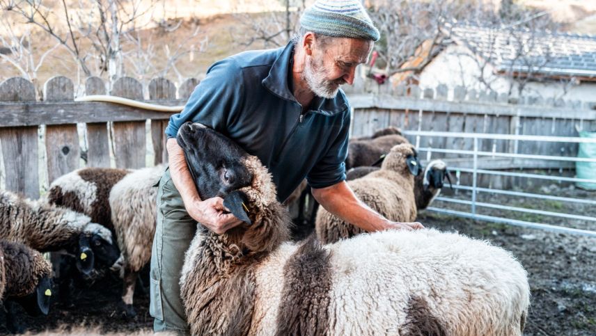 Der Tarasper Schafbauer Thomy Niederhauser. Foto: Mayk Wendt
