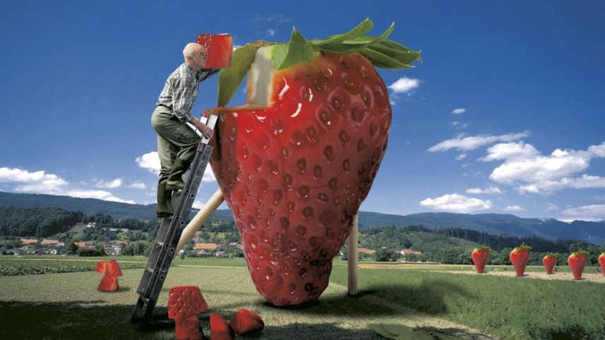 Photoshop-Composing "Erdbeerbauer" aus dem Jahr 2002.  Foto: Daniel Zaugg