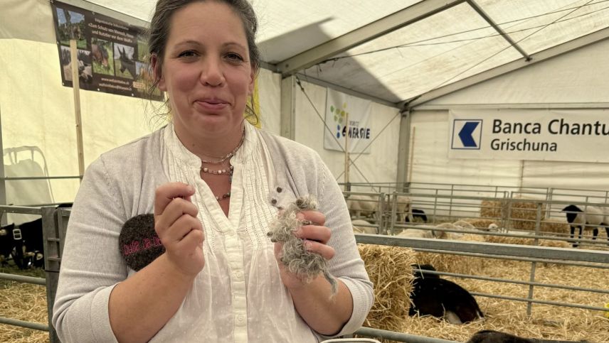 Impressionen von der Agrischa 2026. Foto: Fadrina Hofmann