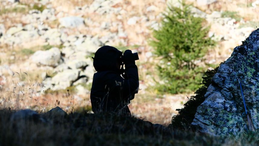 Archivbild: Jon Duschletta