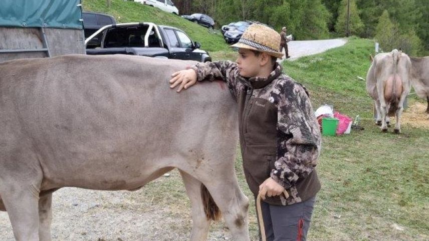 Impressionen der Viehschau in Poschiavo. Urs Oskar Keller
