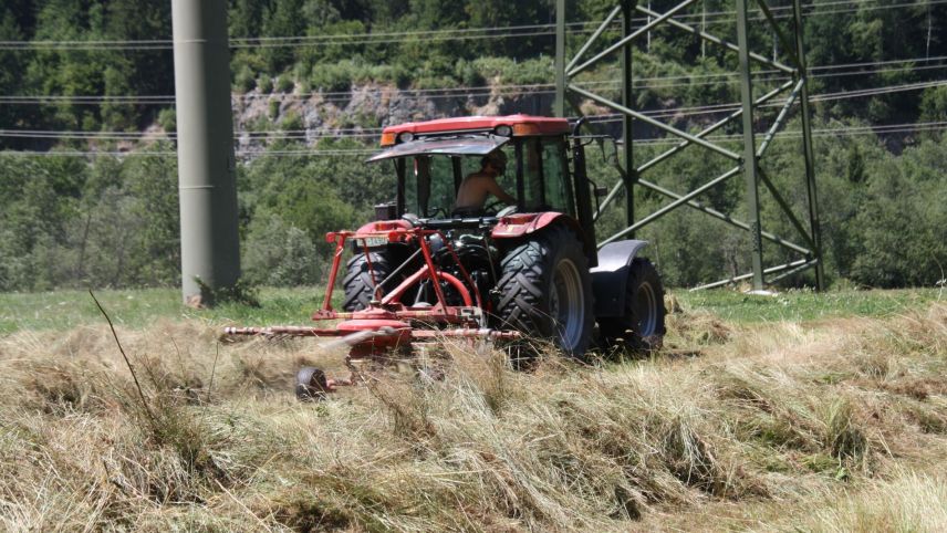 L’ediziun dal «Paur rumantsch» da gün s’occupa dal far cun fain (fotografia: Andreas Cadonau).
