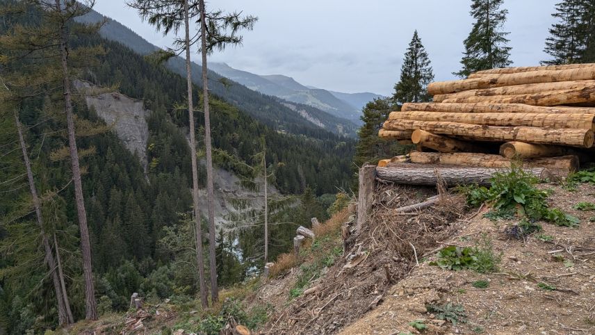 Verschiedene Programme beinhalten Massnahmen zur Förderung und Erhaltung der Waldbiodiversität, zur Pflege schwer zugänglicher Wälder ausserhalb des Schutzwaldes mit dem Seilkran sowie für die Jungwaldpflege ausserhalb des Schutzwaldes. Foto: z. Vfg
