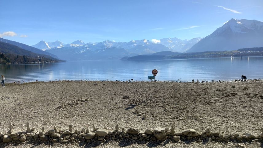 Der abgesenkte Thunersee vom Schaudaupark aus fotografiert. Foto: Bettina Gugger